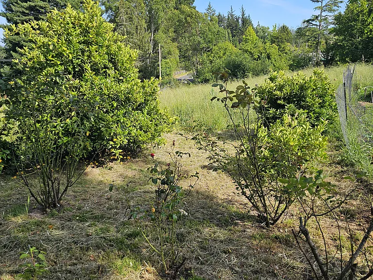Grandview Rd — Photo 47