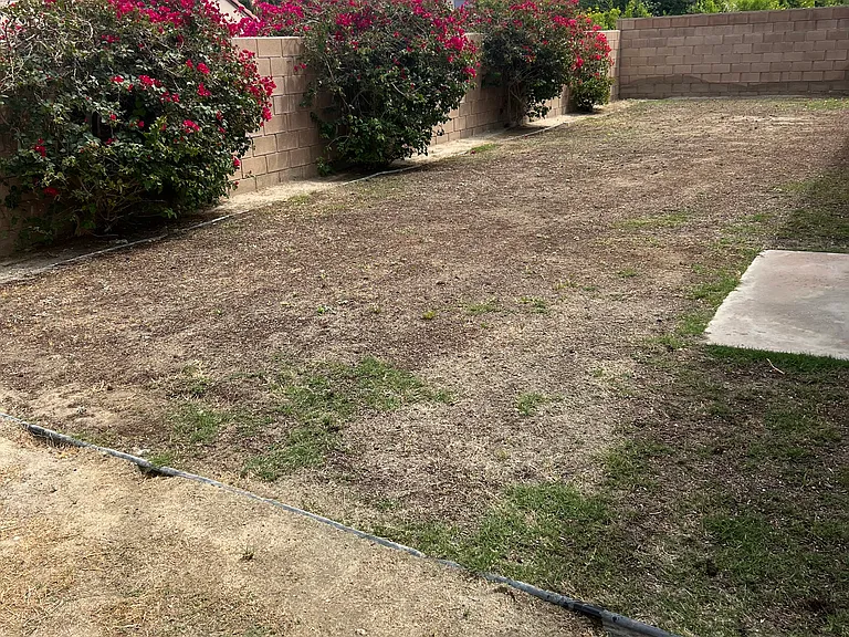 30628 Sierra Pl — Photo 17