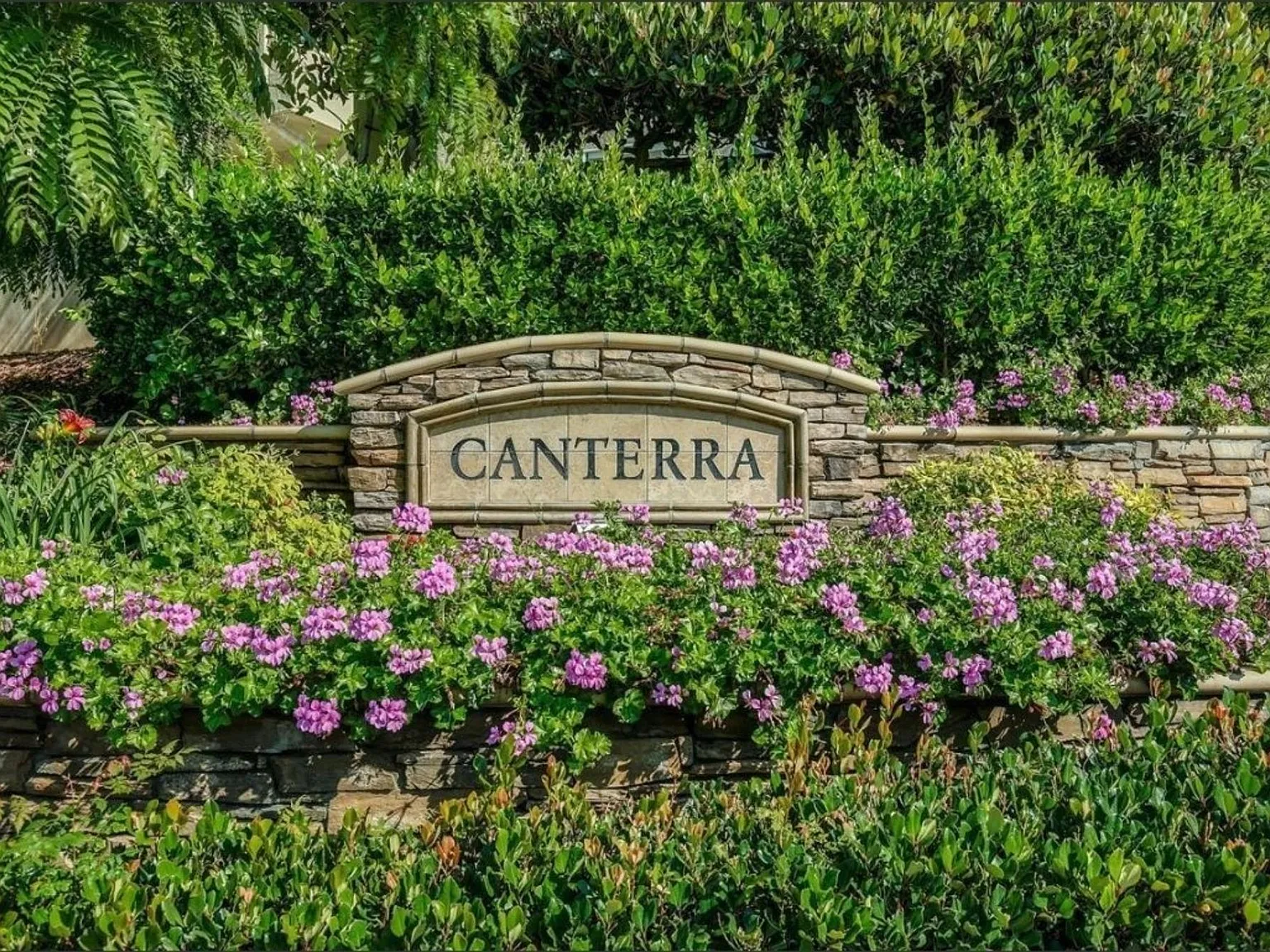 10342 Scripps Poway Pkwy — Photo 4