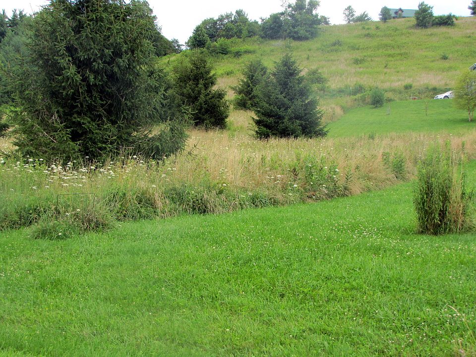 2nd image of Big Flatts Church Road Lot 6