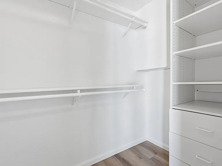 Primary Closet