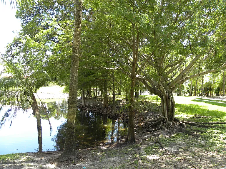 761 N Pine Island Rd #107 — Photo 20