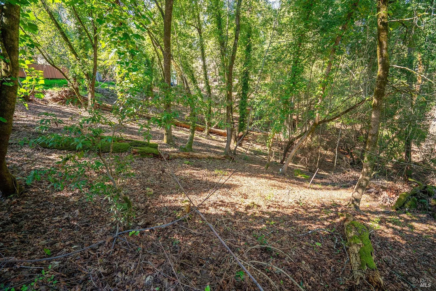 10612 Canyon Road - Photo 7