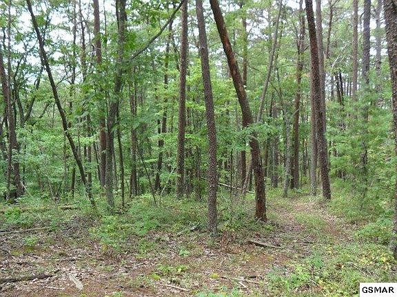 5th image of 376 Summer House Hollow Rd Lot Del