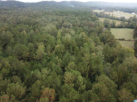 3rd image of 1 Poplar Springs Trl #0