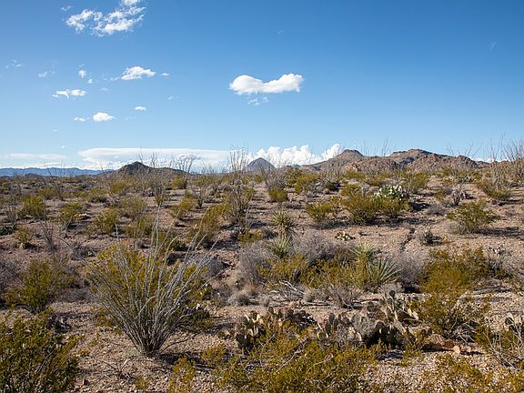 5th image of 101 Yellow Hill Rd