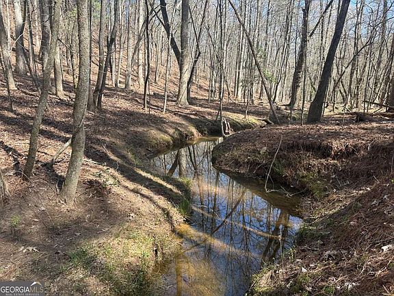 2nd image of 555 Larmon Forks Rd