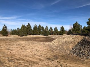 1 Lightning W Ranch Rd, Washoe Valley, NV 89704