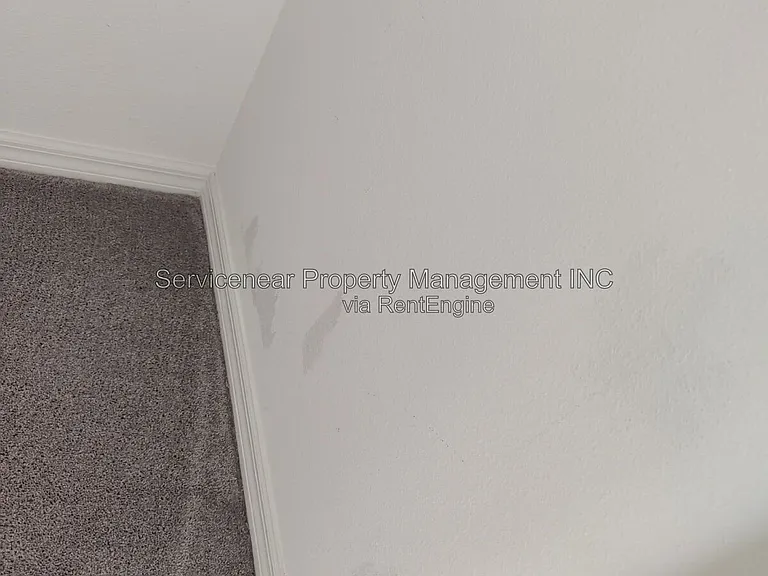 7251 Sweet Alyssum Ct — Photo 19