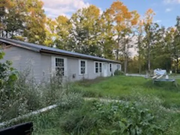 10312 Outback Trl, Frederic, MI 49733