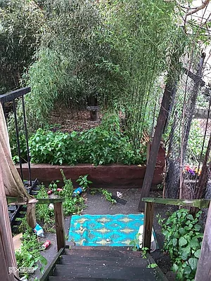 Rented by Citi Habitats | media 11