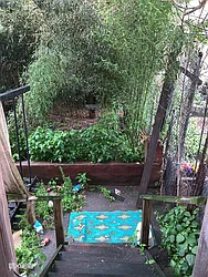 Rented by Citi Habitats