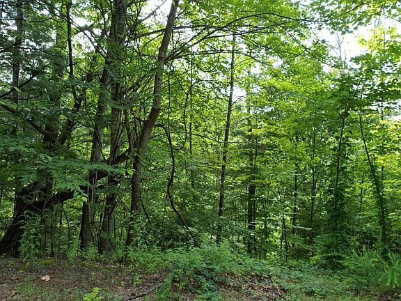 3rd image of 98 Black Powder Ln Lot 98E