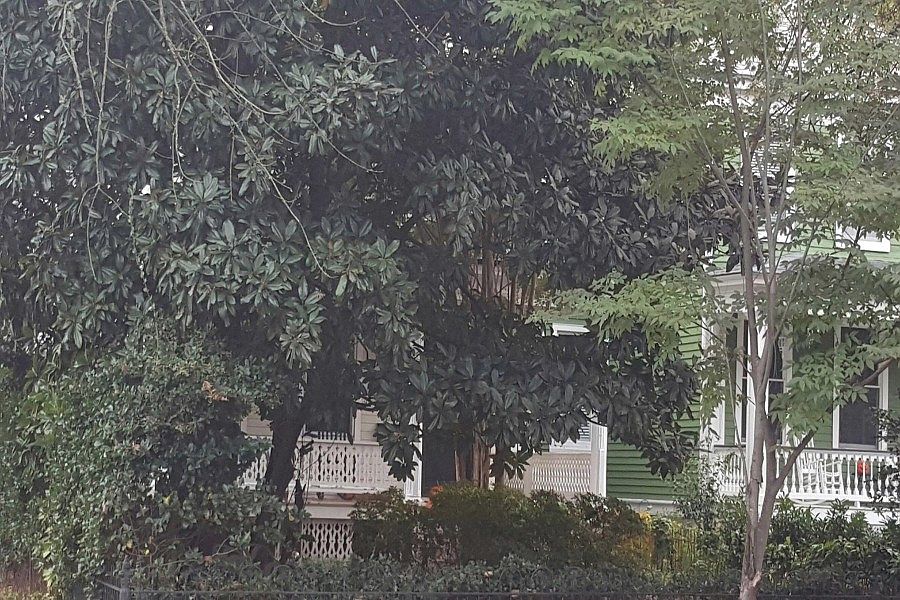 1st image of 3139 Grove Ave