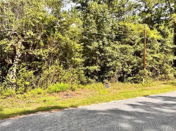 8061 S Green Acres Rd, Laurinburg, NC 28352