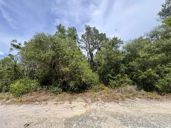 8365 NE 306th Ct Lot 1, Fort Mc Coy, FL 32134