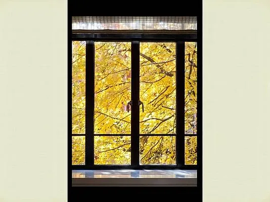 Sold by Stribling | media 29