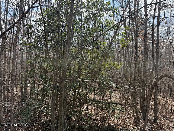 3rd image of 0 Cumberland Lakes Dr Lot 12