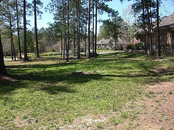 4th image of 155 W Pines Dr