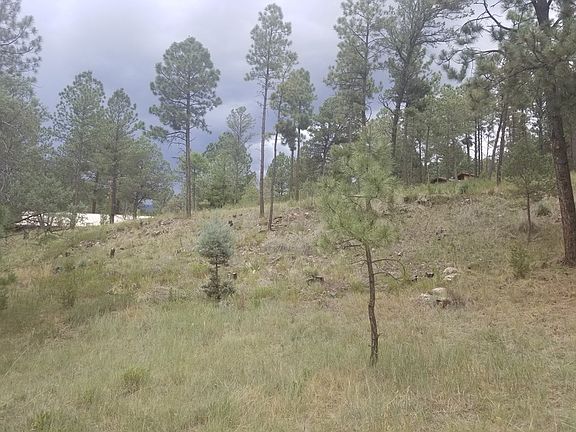5th image of 105 Ll Davis Dr
