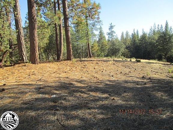 4th image of 10387 Fiske Hill Rd