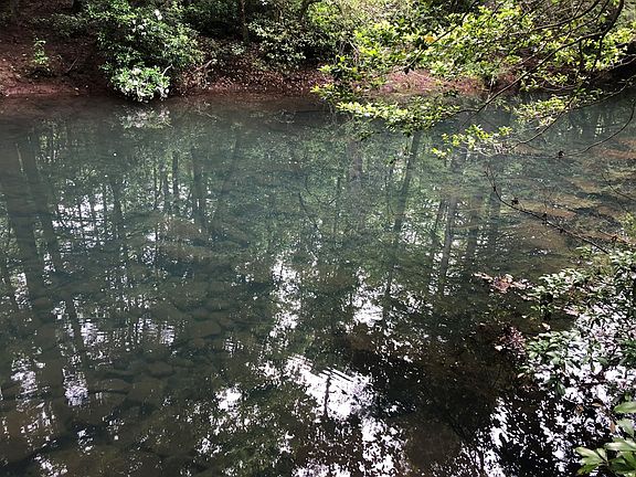 5th image of 21 Acre Mantria Ave