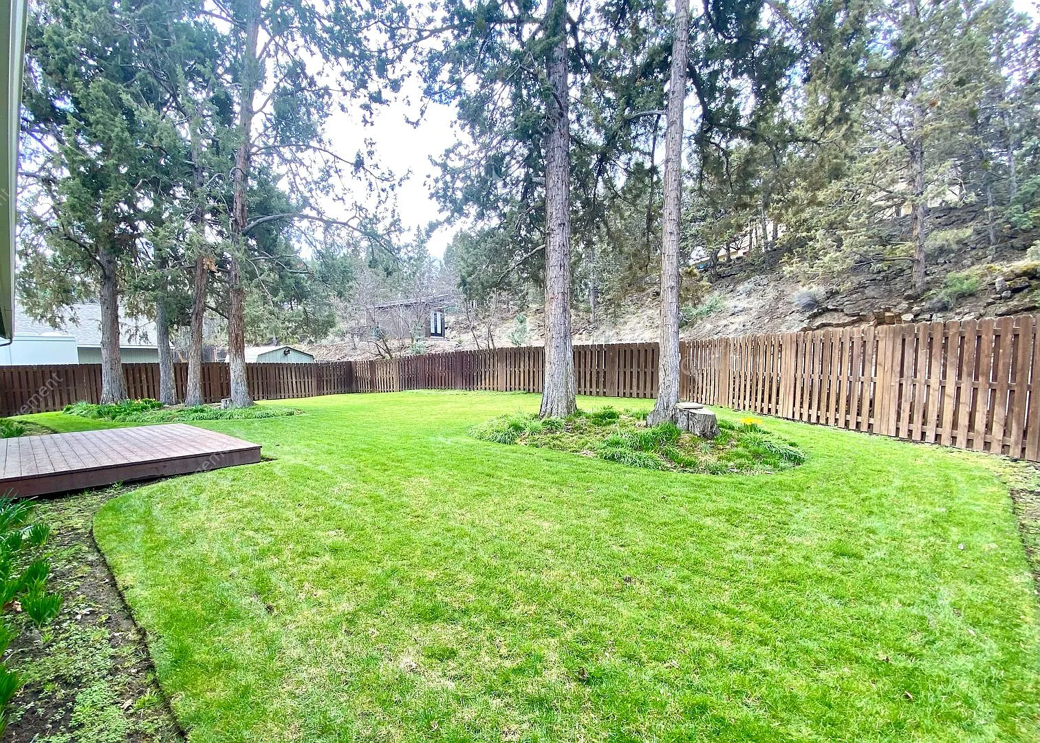 Charming Ranch-Style Home with Lush Landscaping and Ideal NE Location — Photo 3
