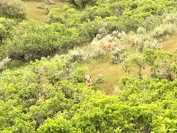 3rd image of 541 S Left Fork Hobble Rd E
