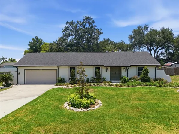 4110 Helene Pl, Valrico, FL 33594
