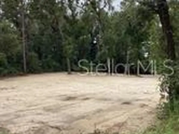 Smallman St Lot 10, Webster, FL 33597