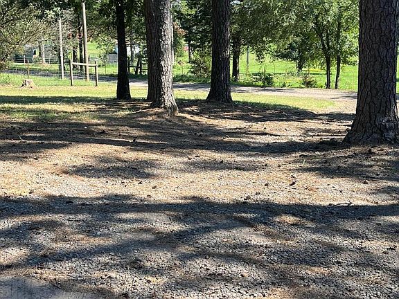 4th image of 10134 Ridgetop Ln