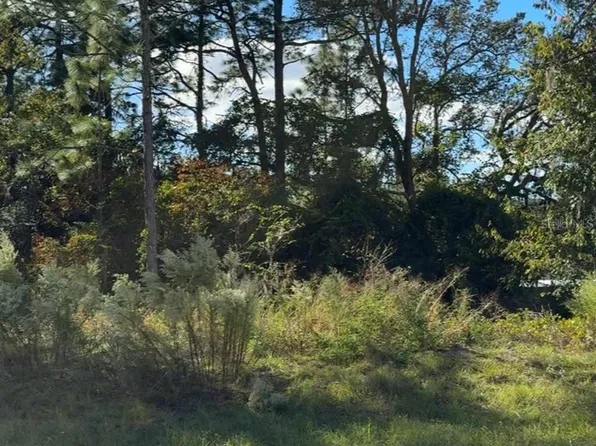 7800 N Primrose Dr Lot 26, Dunnellon, FL 34434