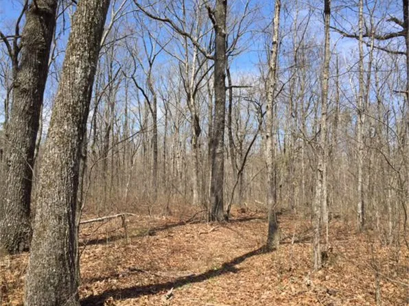 Deerhead Rd, Dunlap, TN 37327