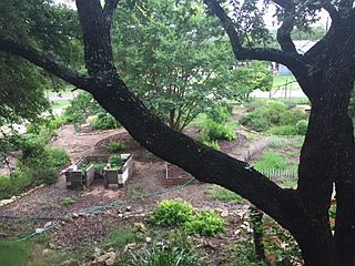 4th image of 215 Burr Oak Ln