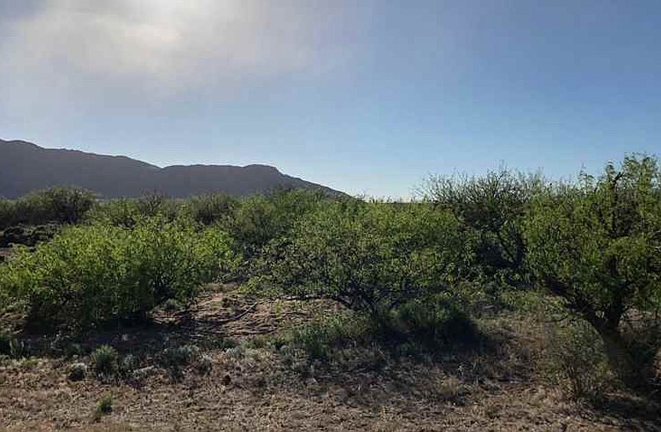 2nd image of Apache Pass Rd