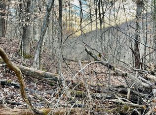 Little Elk Creek Rd, Pioneer, TN 37847
