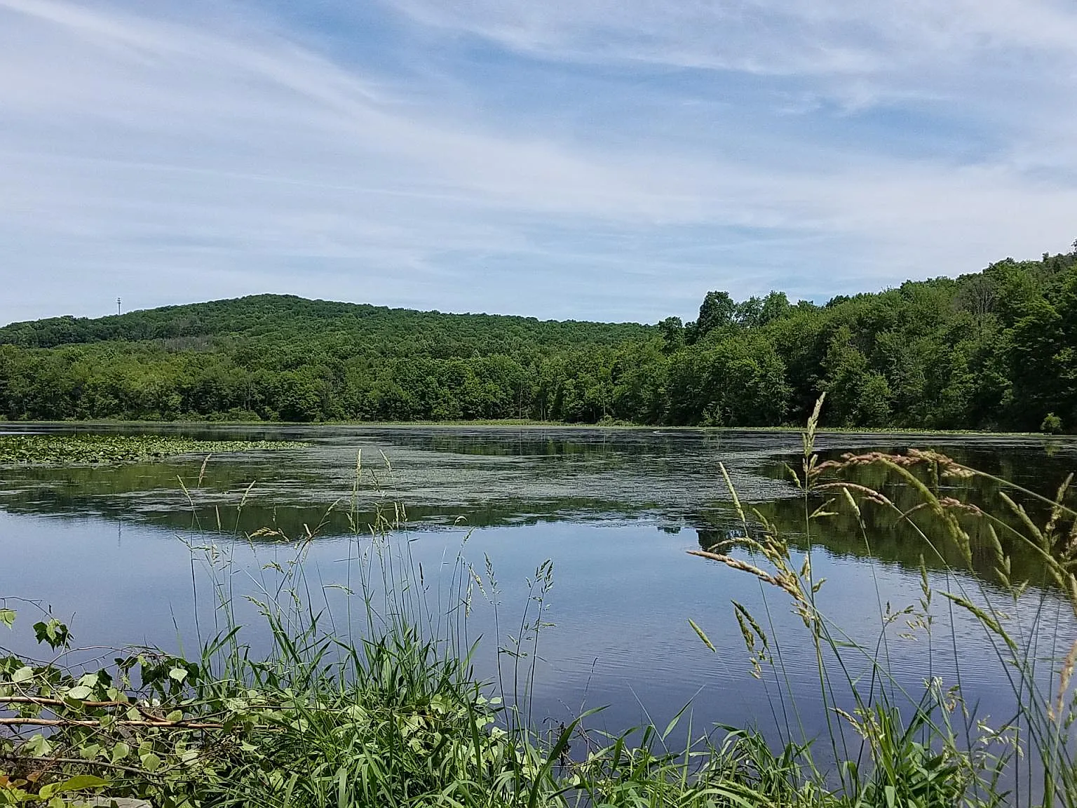 Oakwood Lake Village — Photo 4