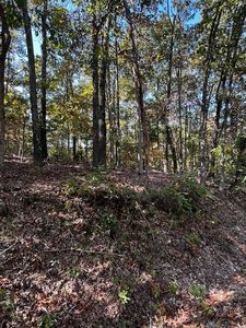 Selkirk Dr #13, Bella Vista, AR, 72715