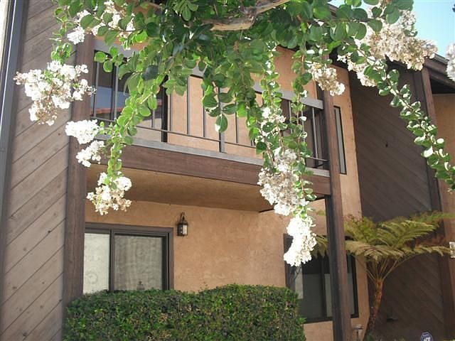 1st image of 1304 Mountain Ave APT 201