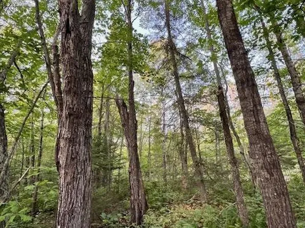 Munson Rd, Bovey, MN 55709