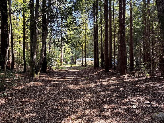 5th image of 45400 Bill Owens Road
