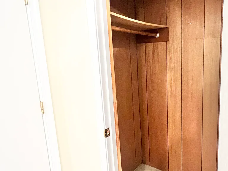 Lower Level Closet