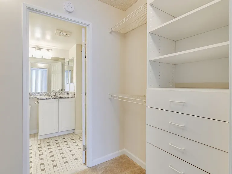 Walk-in closet with shelving and drawers