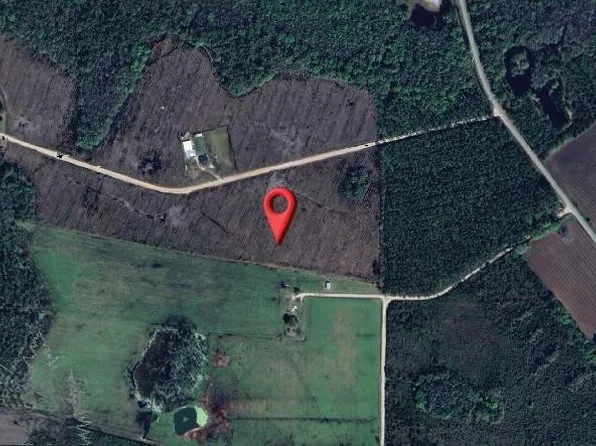 3 Buck Corbitt Rd, Manor, GA 31550