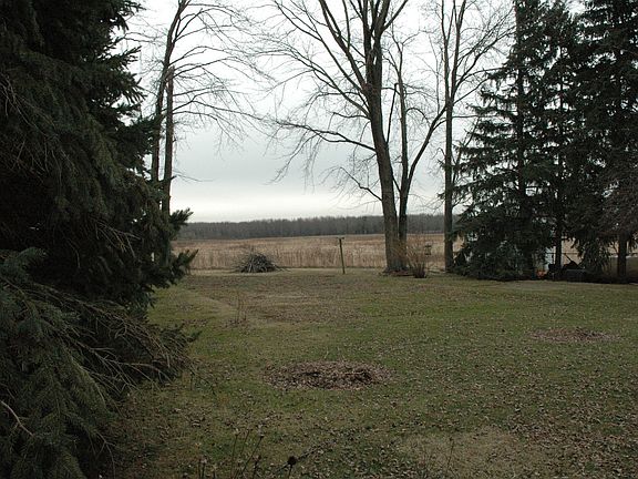 Open View from Back Windows