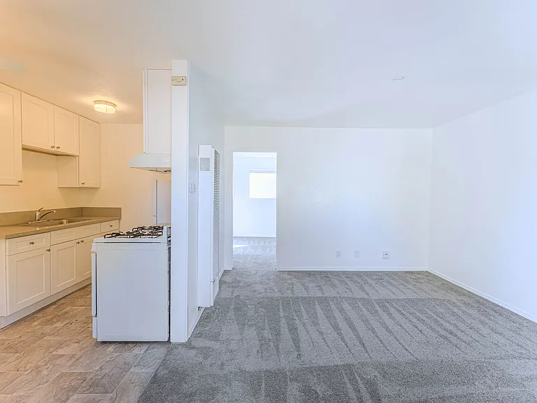 Living room and kitchen area