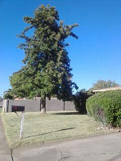 2nd image of 1039 S Toltec