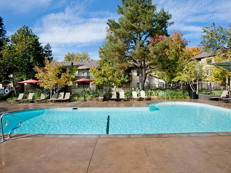 Swimming Pool and sundeck with lounge seating