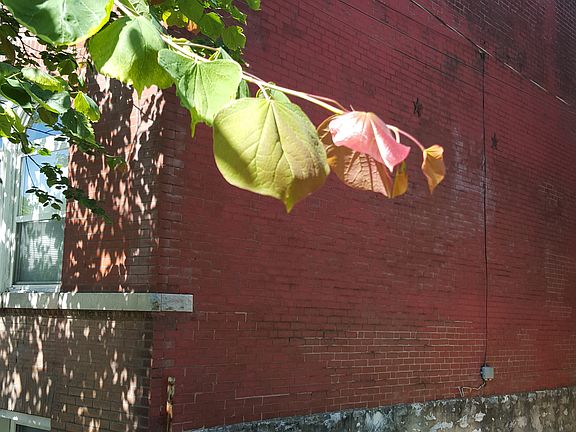 3rd image of 3711 Marine Ave