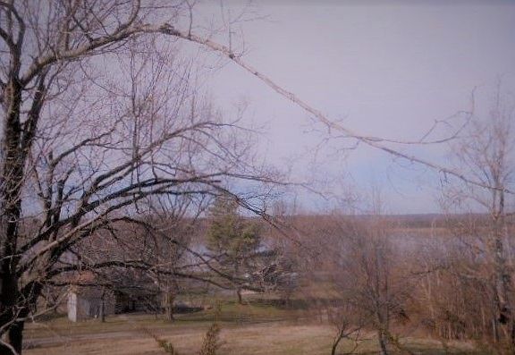 4th image of 706 Fleming St